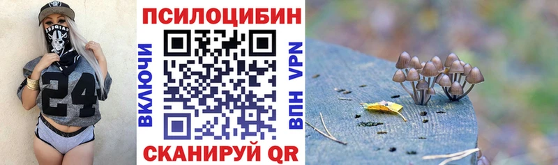 Купить  Гаврилов-Ям  Галлюциногенные грибы Magic Shrooms 